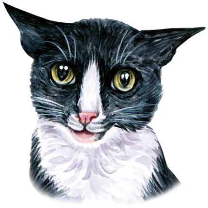 (s053-3-1E) Watercolor Cat Face