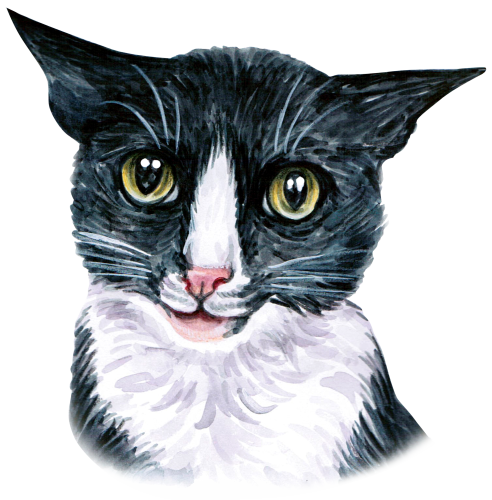 (s053-3-1E) Watercolor Cat Face