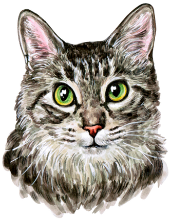 (s053-3-1F) Watercolor Cat Face