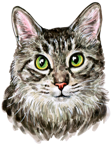 (s053-3-1F) Watercolor Cat Face