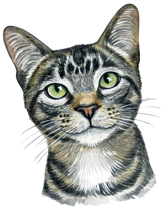 (s053-3-1G) Watercolor Cat Face