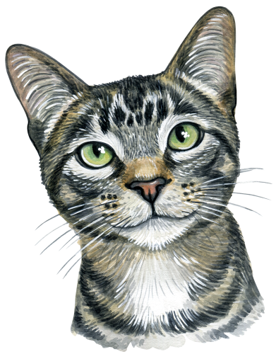 (s053-3-1G) Watercolor Cat Face