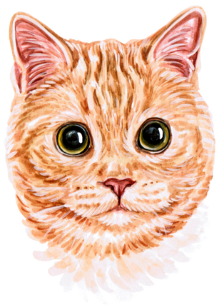 (s053-3-1H) Watercolor Cat Face