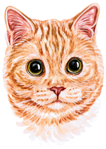 (s053-3-1H) Watercolor Cat Face