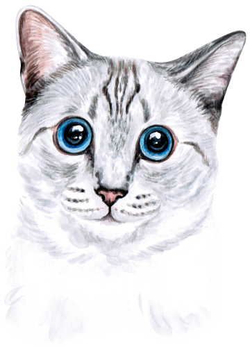 (s053-3-1I) Watercolor Cat Face