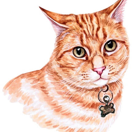 (s053-3-1J) Watercolor Cat Face