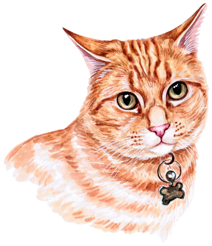 (s053-3-1J) Watercolor Cat Face