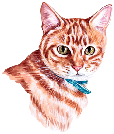 (s053-3-1K) Watercolor Cat Face