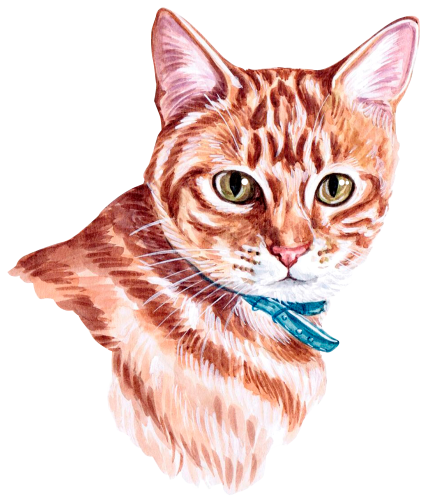 (s053-3-1K) Watercolor Cat Face