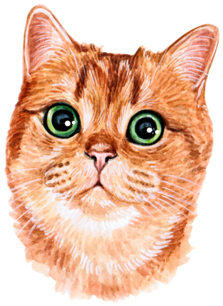 (s053-3-1L) Watercolor Cat Face