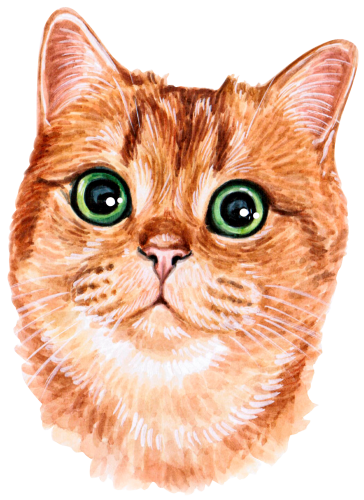 (s053-3-1L) Watercolor Cat Face