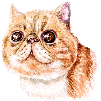 (s053-3-1M) Watercolor Cat Face