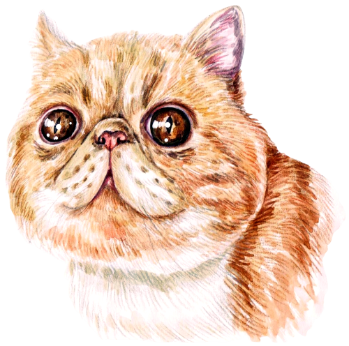 (s053-3-1M) Watercolor Cat Face