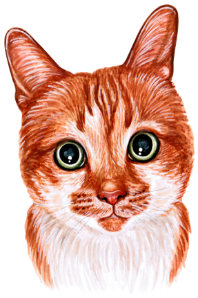 (s053-3-1N) Watercolor Cat Face