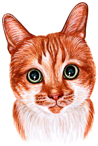 (s053-3-1N) Watercolor Cat Face