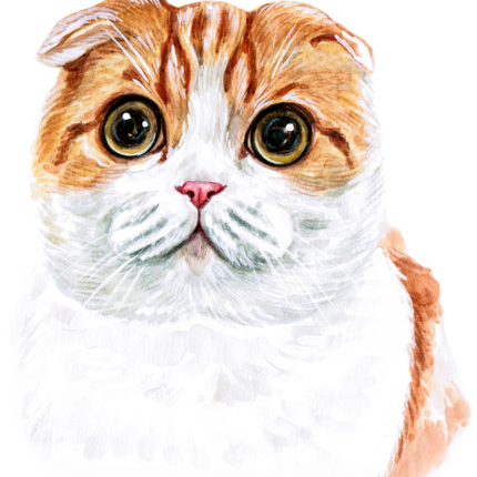 (s053-3-1O) Watercolor Cat Face