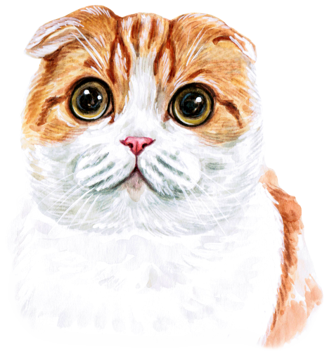 (s053-3-1O) Watercolor Cat Face