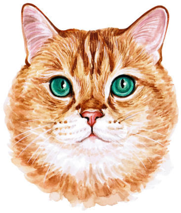 (s053-3-1P) Watercolor Cat Face