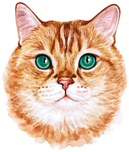 (s053-3-1P) Watercolor Cat Face