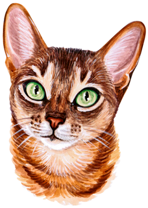 (s053-3-1Q) Watercolor Cat Face