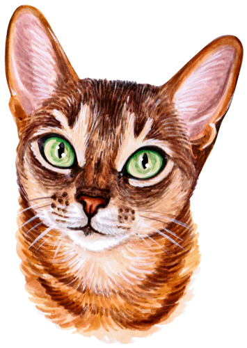 (s053-3-1Q) Watercolor Cat Face