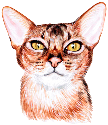 (s053-3-1R) Watercolor Cat Face
