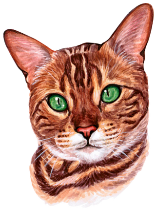 (s053-3-1S) Watercolor Cat Face