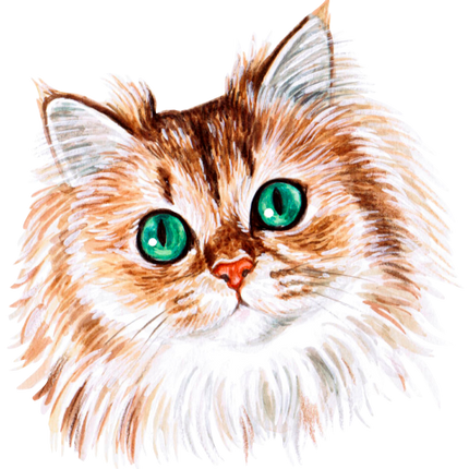 (s053-3-1T) Watercolor Cat Face