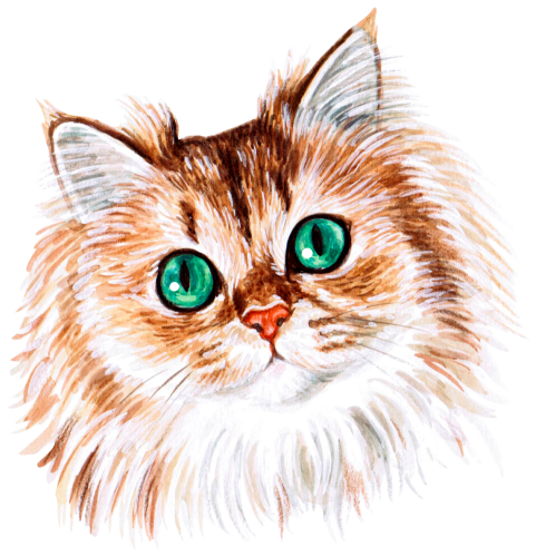 (s053-3-1T) Watercolor Cat Face