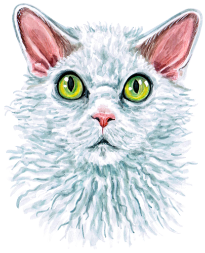 (s053-3-1U) Watercolor Cat Face