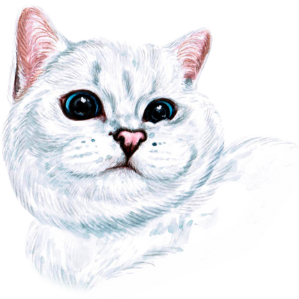 (s053-3-1V) Watercolor Cat Face