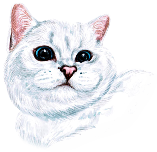 (s053-3-1V) Watercolor Cat Face