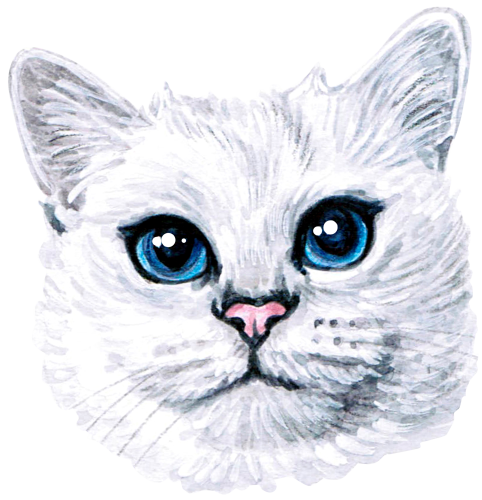(s053-3-1X) Watercolor Cat Face