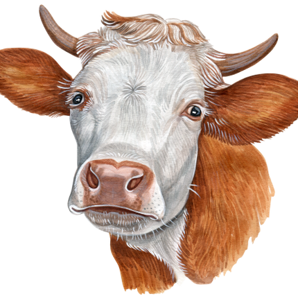 (s053-4F) Cow Face