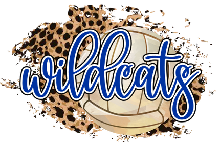 (054-06-1N) Wildcats Volleyball Leopard Iron-On Transfer