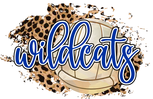 (054-06-1N) Wildcats Volleyball Leopard Iron-On Transfer