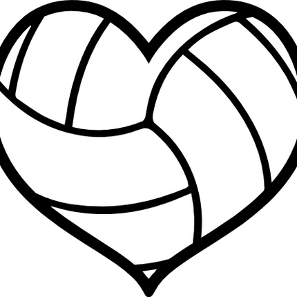 (s054-1-2A) Black White Volleyball Ball