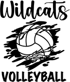 (s054-8C) Volleyball Team Name Family or Custom Text Custom Text