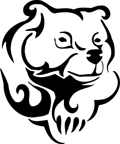 (s006-1-2A) Grizzly Brown Black Bear