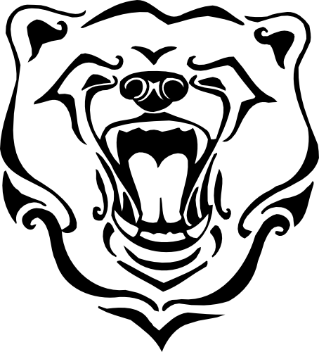 (s006-1-2B) Grizzly Brown Black Bear