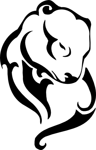 (s006-1-2D) Grizzly Brown Black Bear