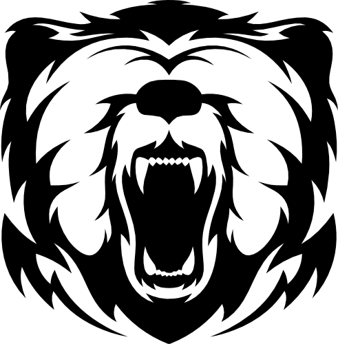 (s006-1-2F) Grizzly Brown Black Bear