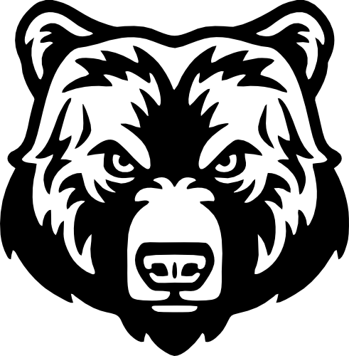 (s006-1-2H) Grizzly Brown Black Bear