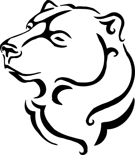 (s006-1-1Z) Grizzly Brown Black Bear