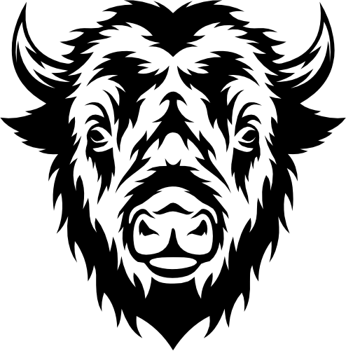 (s006-4-K) Buffalo Bison