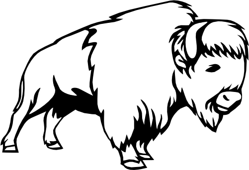 (s006-4-N) Buffalo Bison