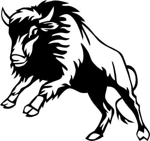 (s006-4-O) Buffalo Bison