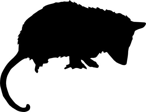 (s006-5-D) Opossum Silhouette