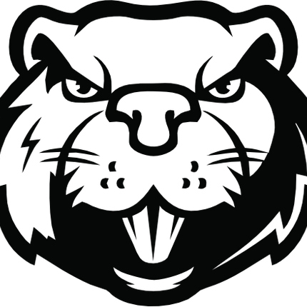 (s006-5-K) Beaver Face