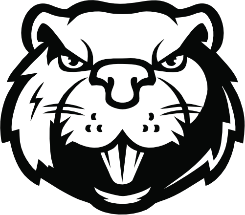 (s006-5-K) Beaver Face